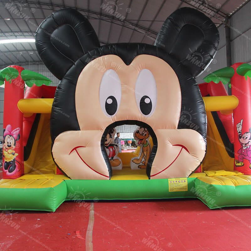 Small Inflatable Mouse Slide
