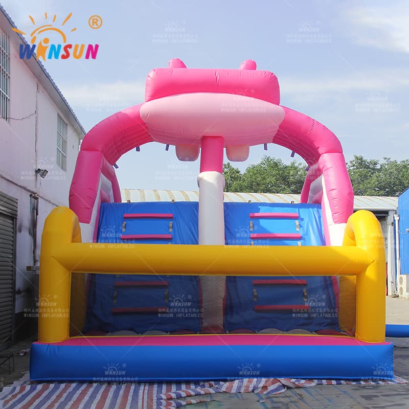 Custom Inflatable Water Slide for Kids