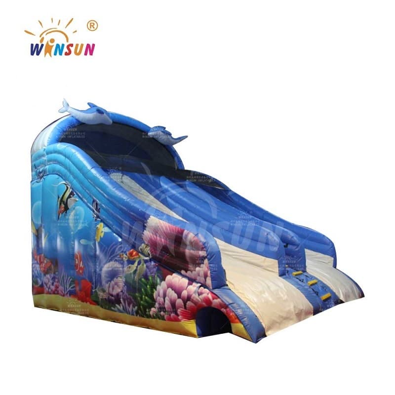 Dolphin Themed Inflatable Water Slide