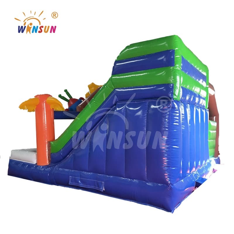 Inflatable Bouncer Combo