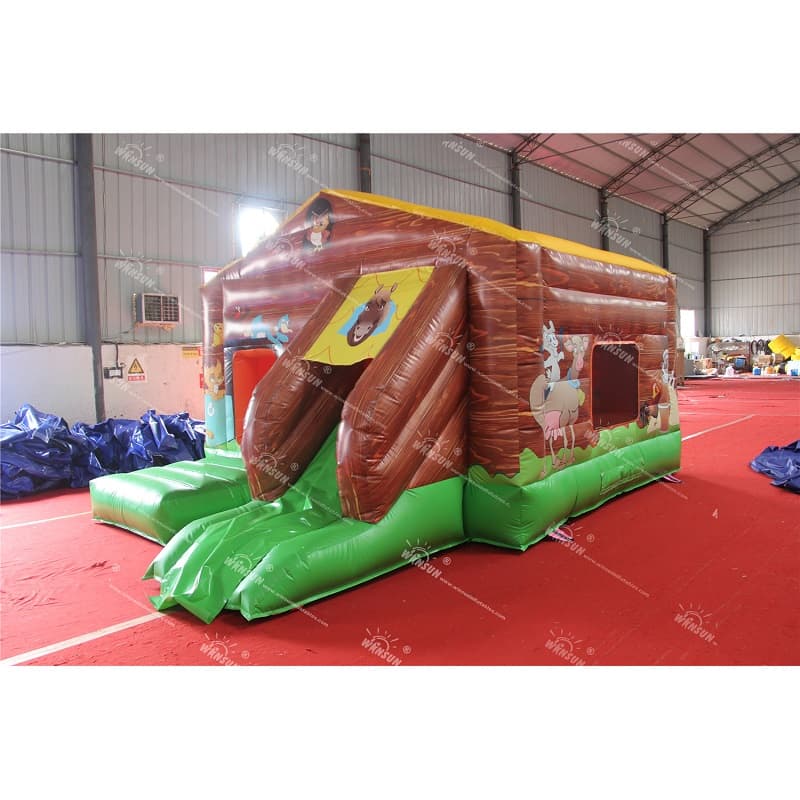 Inflatable Play Bouncer